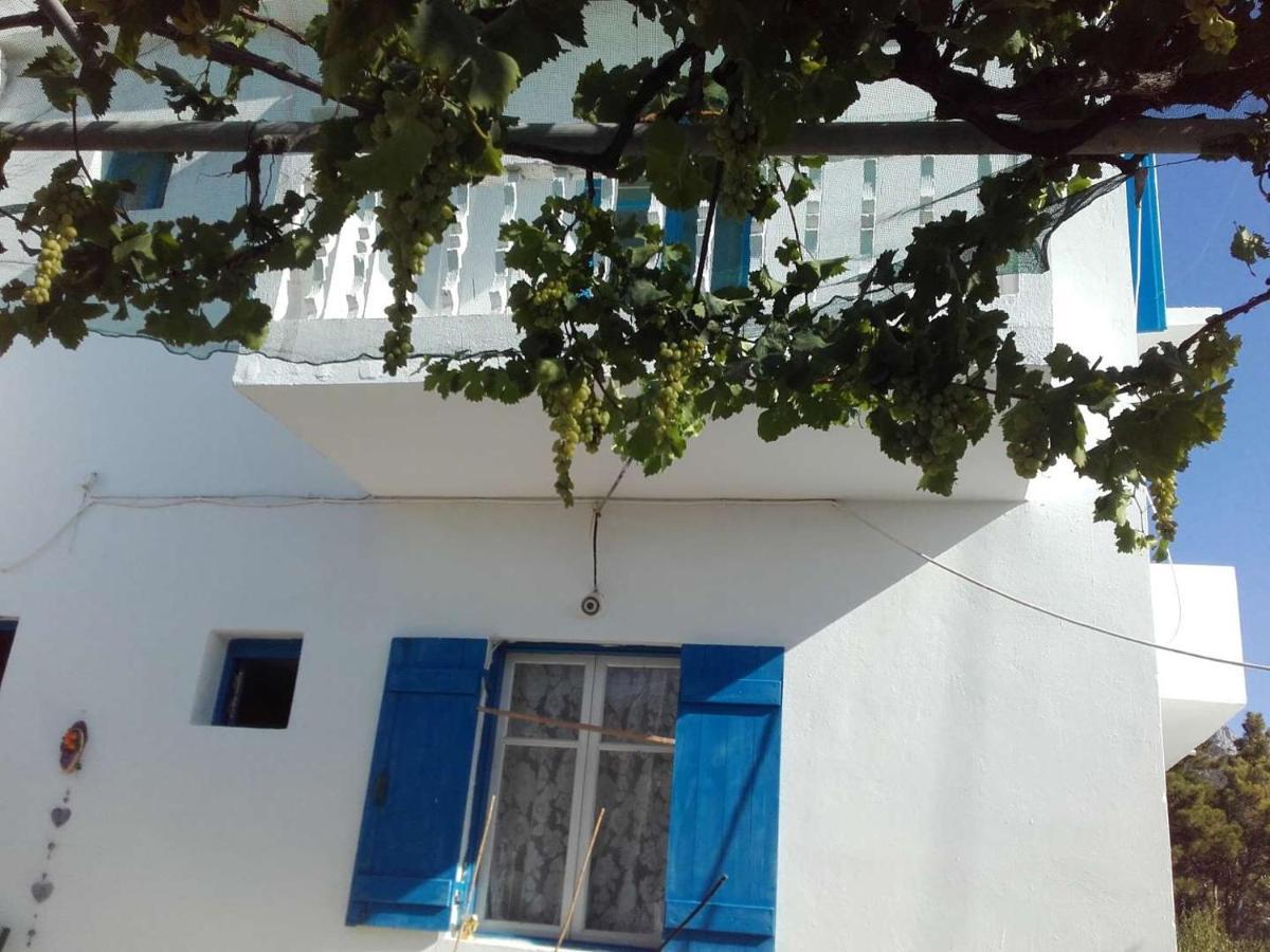 Nikos Apartments Lefkos  Exterior foto